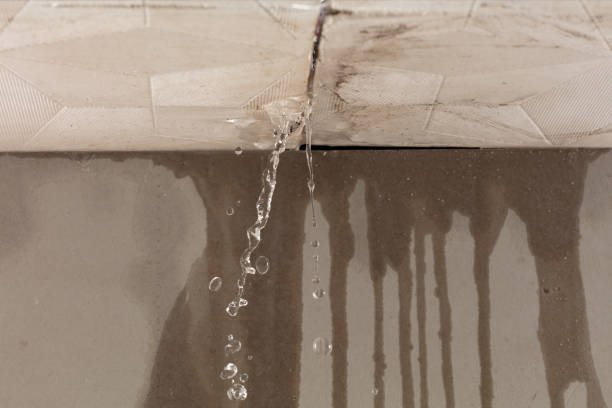 Professional Water Damage Repair technician working in Caseville, MI